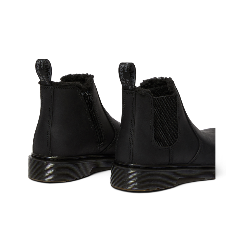 2976 Leonore Mono Junior Republic WP