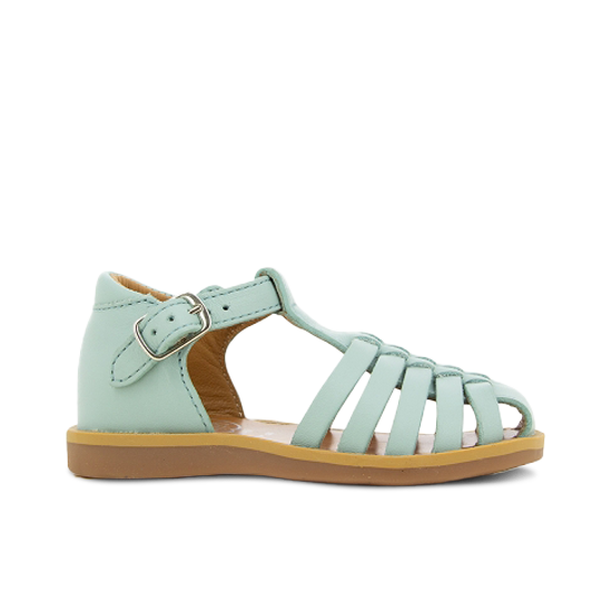 Poppy Pitti